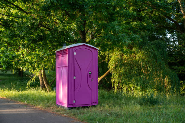 Best Luxury portable toilet rental  in Tarpey Village, CA